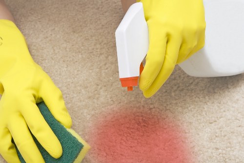 Carpet cleaning professional preparing safe equipment for work