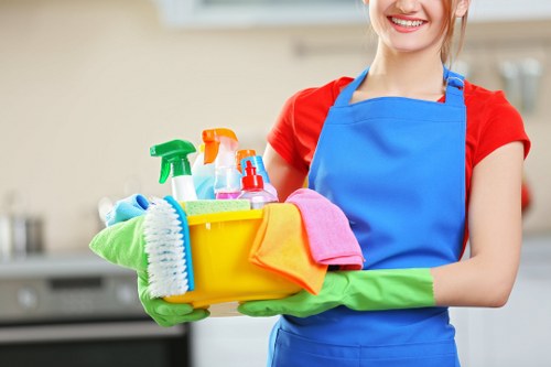 Professional cleaning company in W13 serving homes and businesses