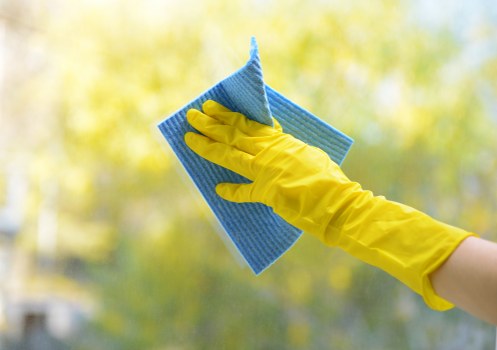 Professional carpet cleaners beginning a thorough carpet cleaning service in W13