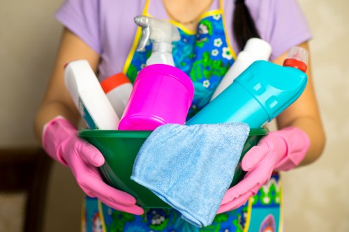 Professional deep cleaning in W13 for a fresh living room