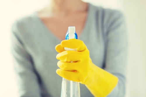 Experienced cleaners providing deep cleaning in W13