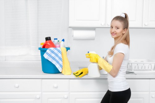Support options for accessibility requests on a carpet cleaning website