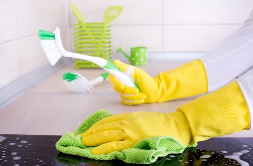 Domestic cleaner in W13 tidying a busy household