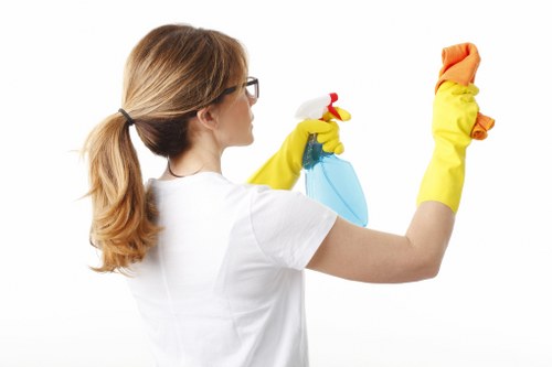Professional deep cleaning in W13 for carpets and surfaces