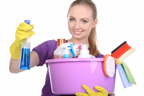 Local oven cleaning service tools and cleaned oven racks in W13