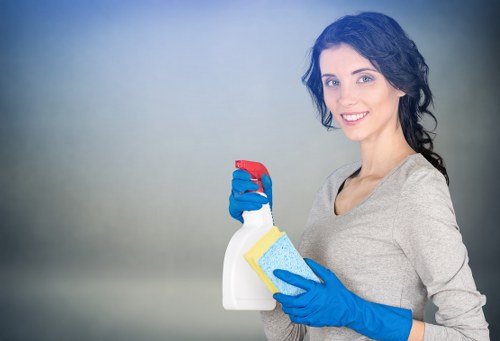 Deep cleaning a textured rug in a W13 property